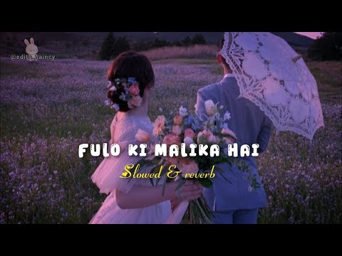 Fulo Ki Malika Hai🔥(slowed X reverb) Atif Aslam Ali Cover New Song Aane Se Uske Aaye Bahar Lofi Mix