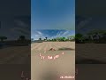 Minecraft Best shaders #minecraft #yosho #minecraftshaders #minecraftexplained #original #nobatidao