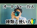 【AFとは？】オートフォーカスって何？種類と使い方を紹介【ニコン初心者向け】