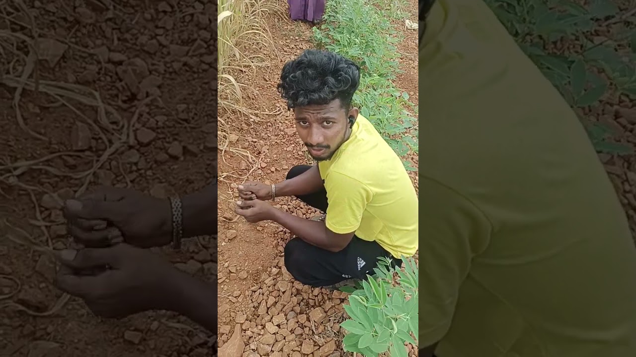 jonnagiri diamond world