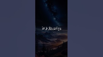 سورة الأحزاب بصوت الشيخ أنس العمادي