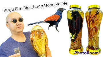 Rượu Bìm Bịp Bí Quyết Dương Cung Của Phái Mạnh | Nam Trọc Rượu Ngâm
