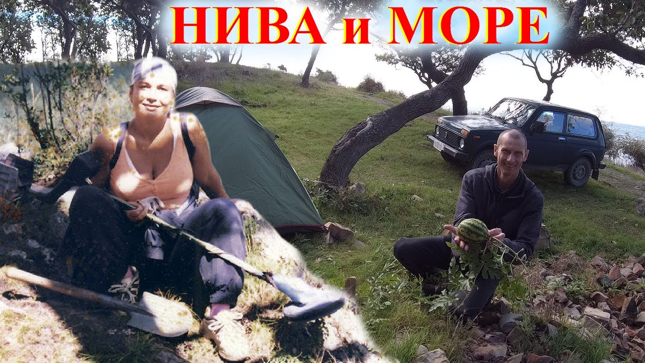 На ниве на море
