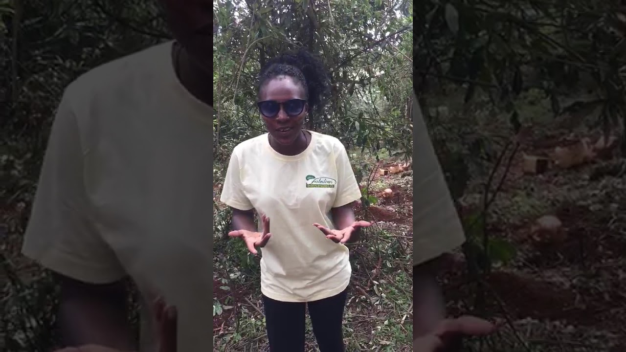 We are committed towards eradicating Malaria in Uganda through a Social Business Model.