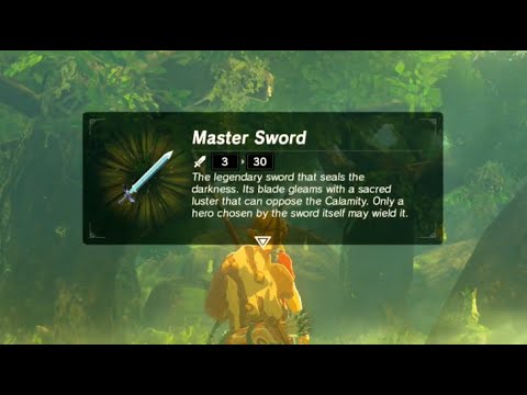 Zelda Breath of the Wild is a PERFECT Game with NO Flaws (Twitch Clip)
