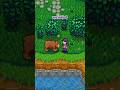 There Are Secret Messages EVERYWHERE in Stardew Valley! #stardew