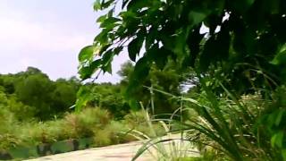 《生存遊戲》20100628與〝慢點 〞飛彈基地開戰-01-1.AVI