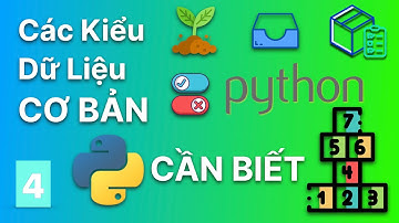 Các Kiểu Dữ Liệu Cơ Bản CẦN BIẾT trong Python | Lập Trình Python Cơ Bản #4