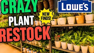 You WON'T believe THE amazing PLANTS I FOUND at LOWE’S!