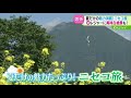 夏だけの魅力満載!ニセコ旅 新レジャーに美味&絶景も!【どさんこワイド179】 2025-07-21