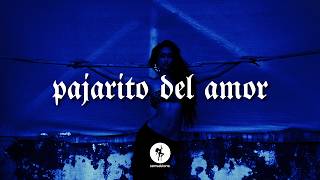 carla morrison, natalia lafourcade // pajarito del amor [Legendado/Lyrics]