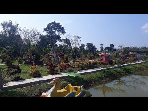 Video: Semua warna pelangi dalam kombinasi yang tidak dapat dibayangkan dalam gambar oleh Gabriel Wickbold