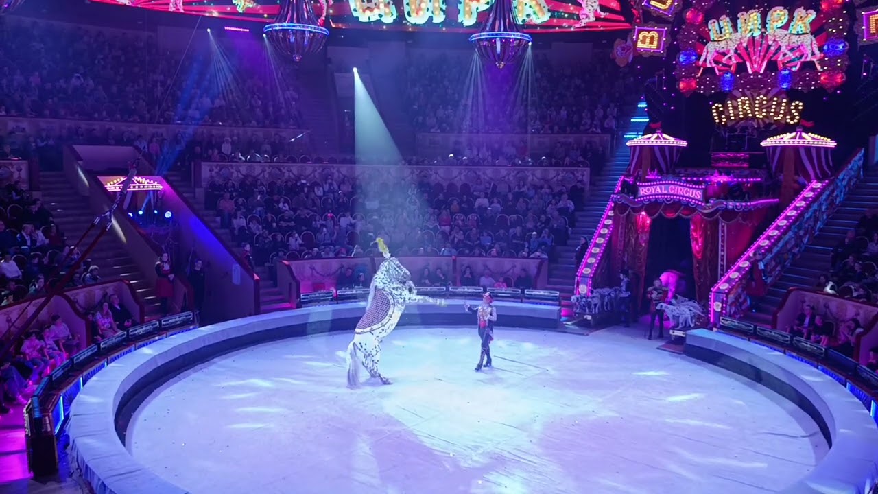 027 VID 20250329 123409