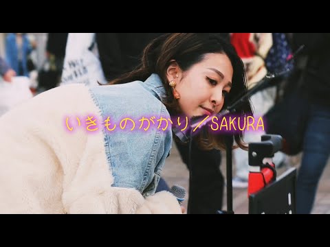 【 juri cover 】SAKURA／いきものがかり