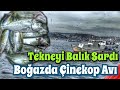 Çılgınca Balık Yaptı !!!! İstanbul #Çinekop Lüfer Sarıkanat Avı / Bu Mera İNANILMAZ ! Kaptan Alemdar