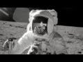 The Incredible Journey of Apollo 12