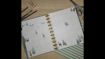 January Memory Planner Set-up / PWM / Happy Planner Spread