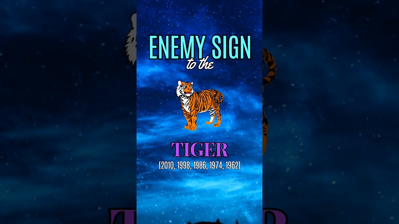 Watch Year Of The Tiger Chinese Zodiac #numerology #astrology #chinesezodiac #Tiger #lawofattraction #777 on YouTube Watch Year Of The Tiger Chinese Zodiac #numerology #astrology #chinesezodiac #Tiger #lawofattraction #777 on YouTube