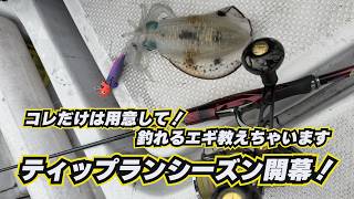 Vol.180【ティップランエギング】釣行前に是非！コレだけは用意して！釣れるエギ教えちゃいます