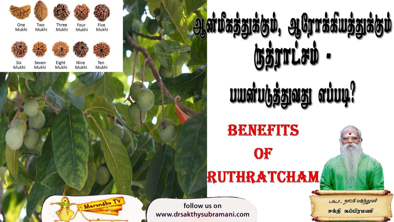 ஆன்மீகத்துக்கும், ஆரோக்கியத்துக்கும் ருத்ராட்சம் - பயன்படுத்துவது எப்படி?