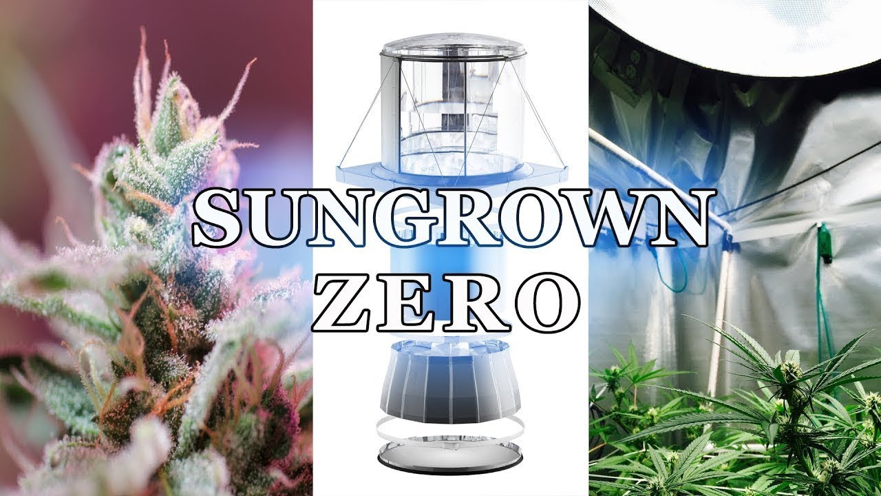 Sungrown Zero uses the Power of the Sun Indoors