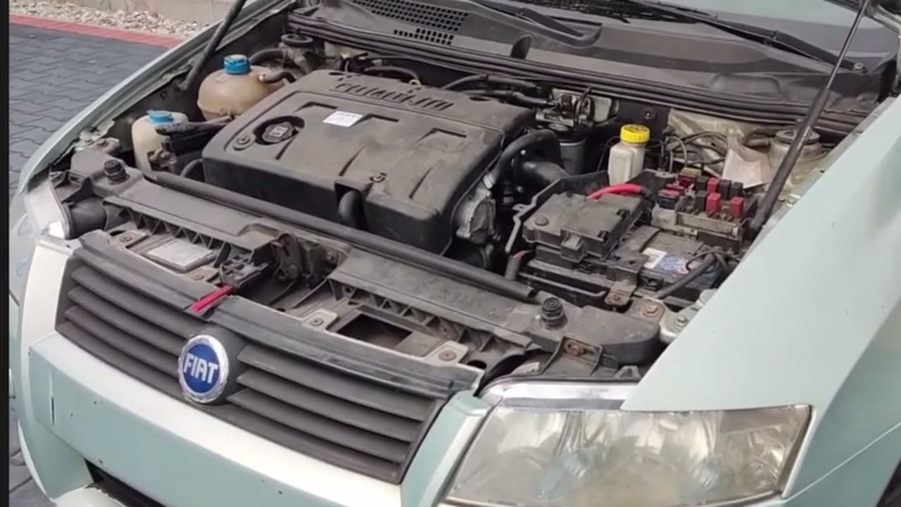 growing up is overrated YouTube