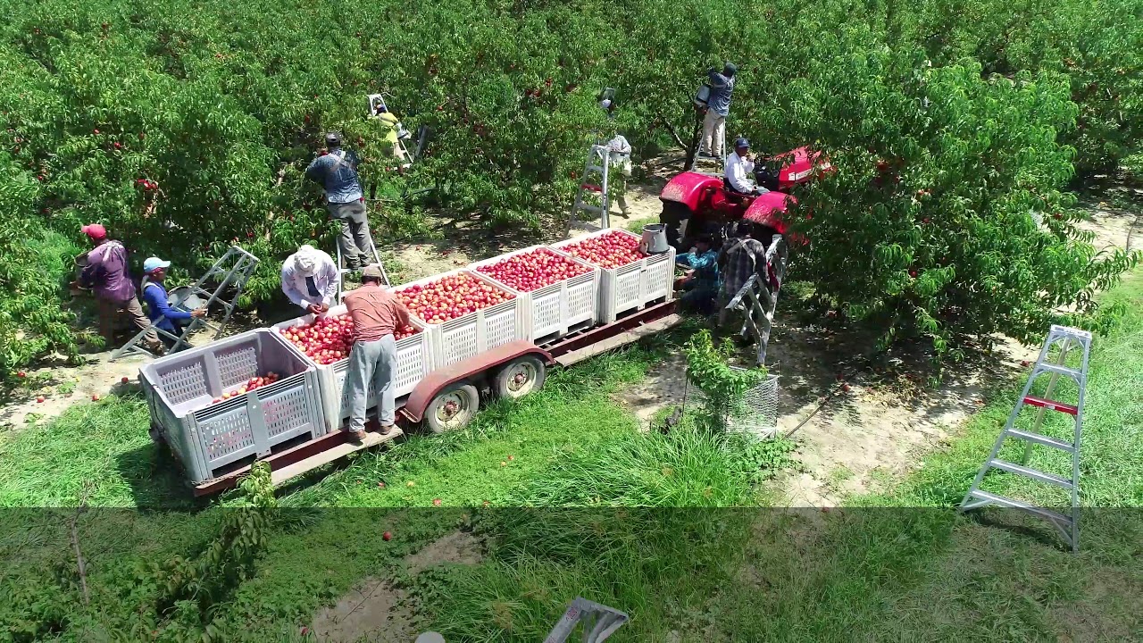 The Summit City Farms & Winery Story