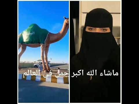 اطول جمل في العالم 