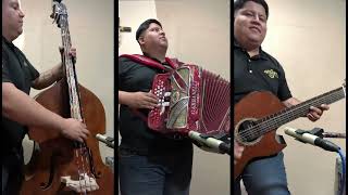 Se Me Solto El Hocico Cover acordeón, bajo sexto y tololoche