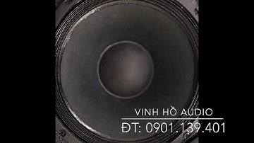 Array 30 đôi, 2 bass P.Audio Thái kết hợp với 2 treble Neo Enos chất âm siêu hay | P.Audio Vinh Hồ