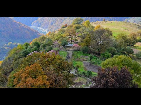 შვილო მშვიდობით გზაზედა (Счастливой дороги дочка)Shvilo MShvidobit Gzazeda