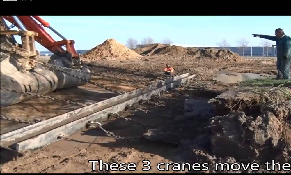 Moving a 100-years old Tree (