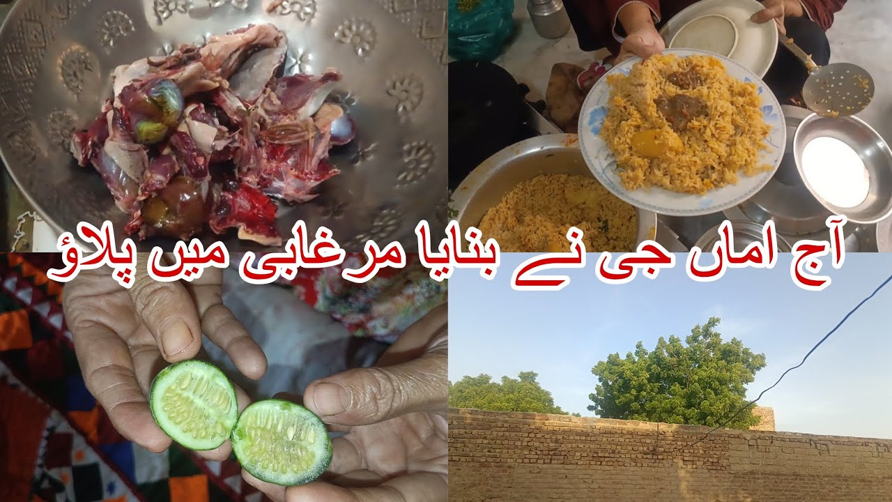 VLOG: life of a homebody Pakistani woman, murghabi pulao recipe, gobi ka salan, cooking, planting