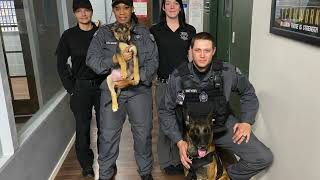 Why choose TASK9 Security Guards in Springfield Missouri