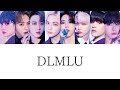 DLMLU -Stray Kids【和訳/日本語字幕/Rom】