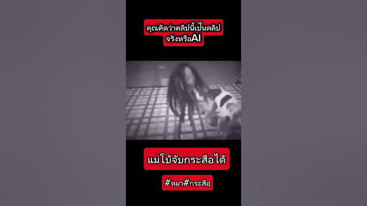 หมาจับกระสือ
