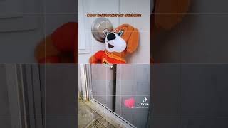 Restricted Keyway And Door Interlocker