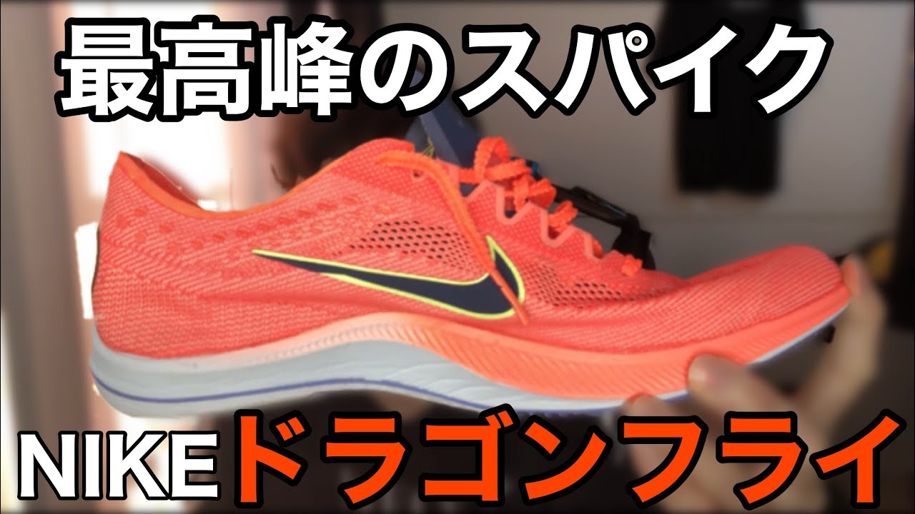 【NIKE】ドラゴンフライを語る　このシューズ…すごい…