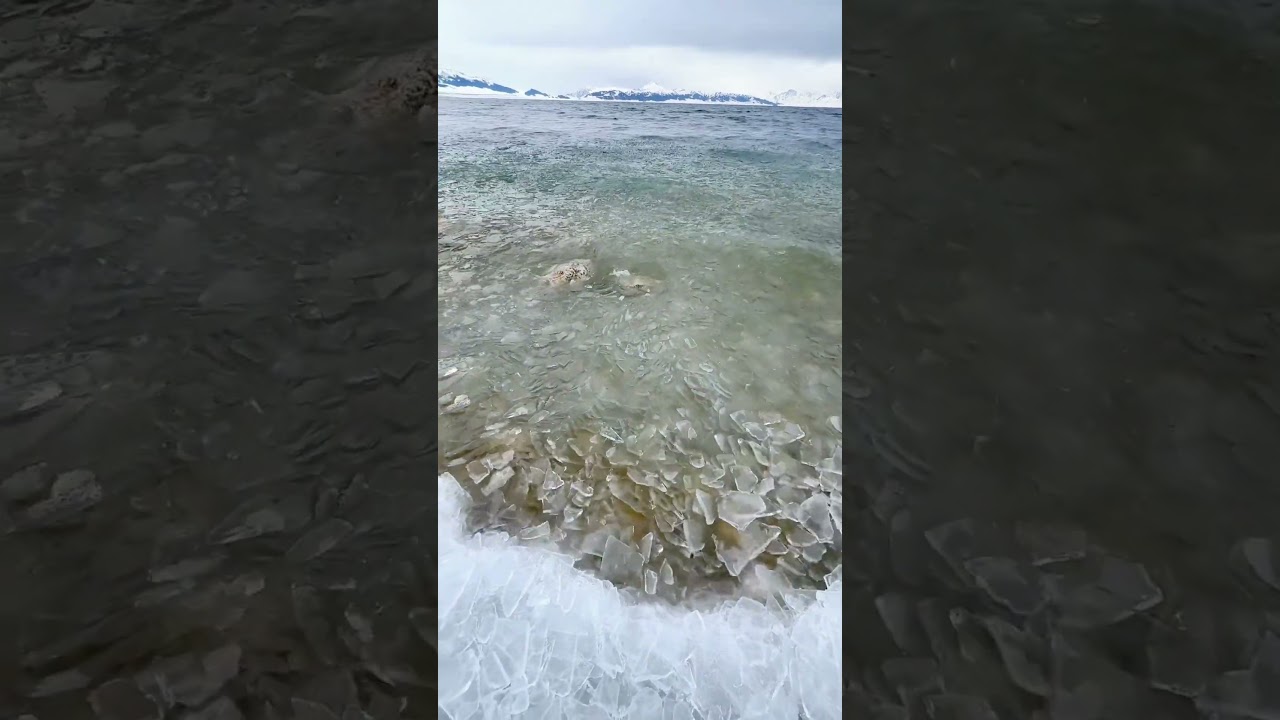 ❄️ Frozen Waves – Nature’s Icy Masterpiece! 🌊🧊 