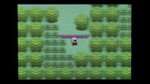 Pokemon Emerald - Part 2 / Battling May, getting Pokedex and going to Petaburg.