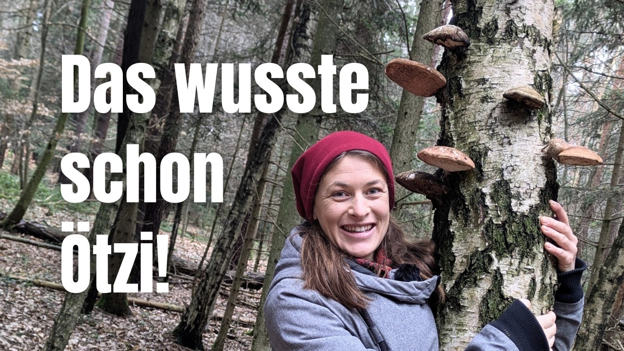 Der Birkenporling: Ötzis geheimes Antibiotikum aus dem Wald! 🌿