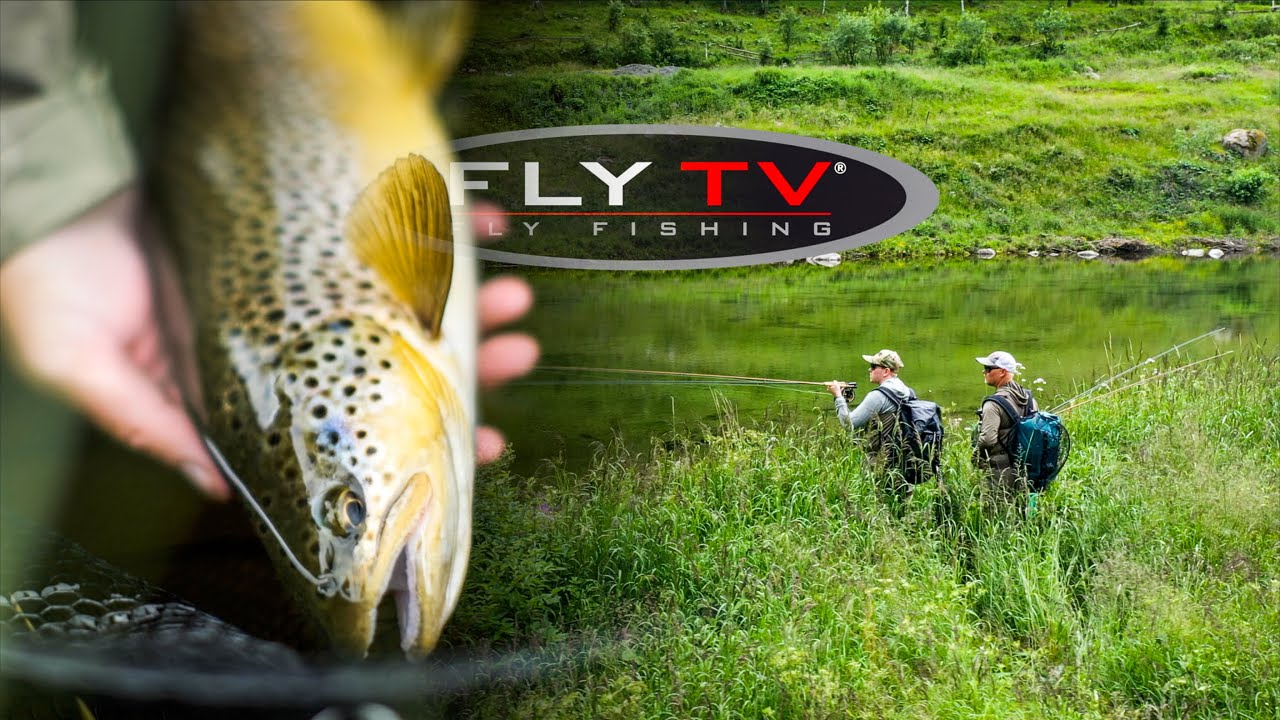 FLY TV - Dry Fly Fishing & Rising Trout in Norway 