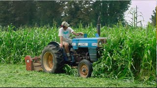 Capturing Residue to Build Soil Organic Matter