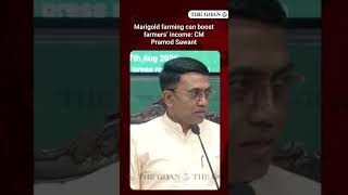 Marigold farming can boost farmers’ income: CM Pramod Sawant
