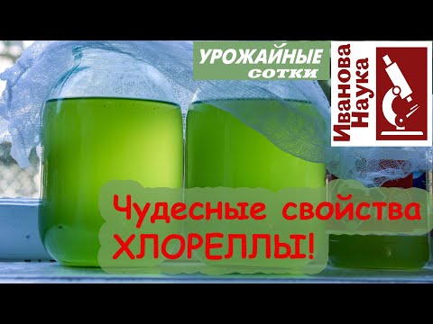 Video: Pudotettavan Biopolttoaineen Tuotanto Käyttämällä Chlorella Variabilis -bakteerin Rasvahappovalokarboksylaasia öljymäisessä Hiivassa Yarrowia Lipolytica