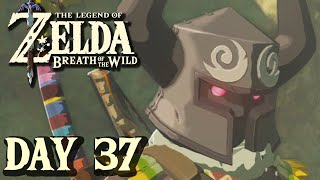 I Love Revali's Gale - Breath of the Wild | DAY 37