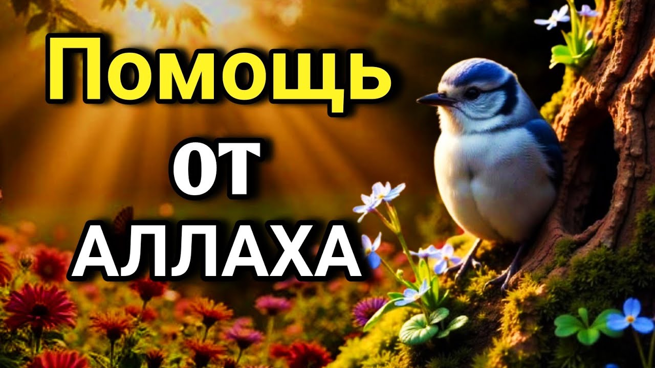 ОЧЕНЬ СИЛЬНЫЙ ДУА - Аллах дарует выход из любой трудности! 🤲✨