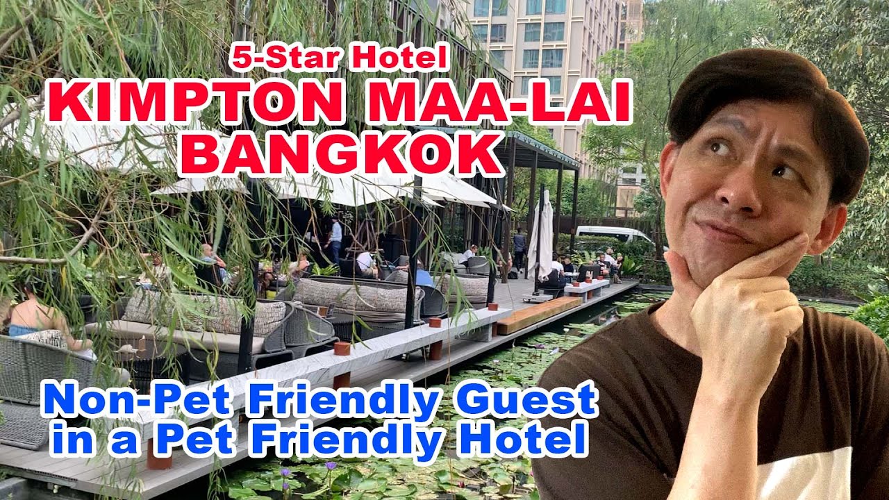 Kimpton Maa Lai Bangkok: узнайте, что говорит парень, не принимающий домашних животных, в отеле, ...