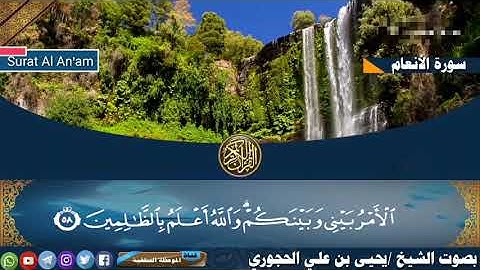 سورة الأنعام بصوت العلامة يحيى بن علي الحجوري حفظه الله