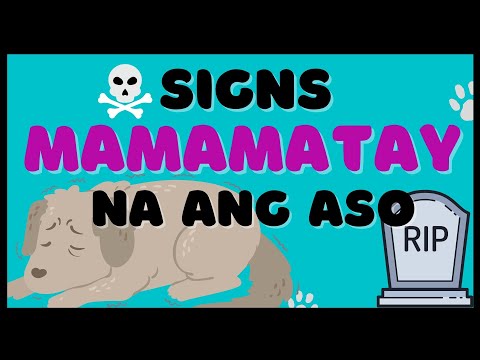 Mga SINYALES na